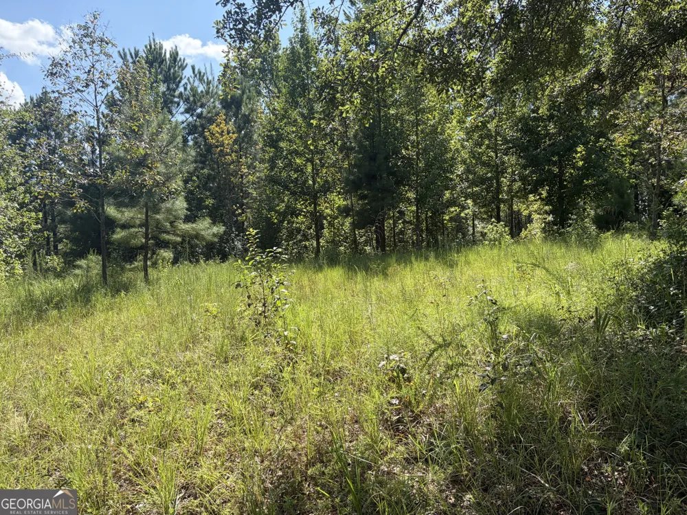 7 Sunhill Grange RD Davisboro, GA 31018