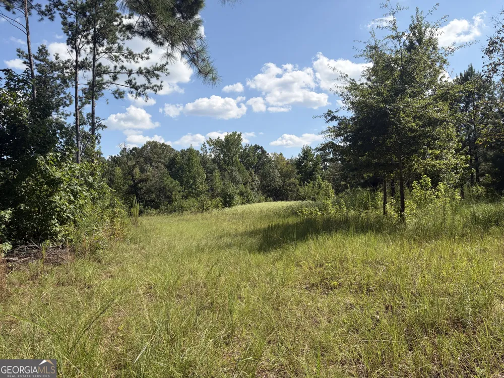 7 Sunhill Grange RD Davisboro, GA 31018