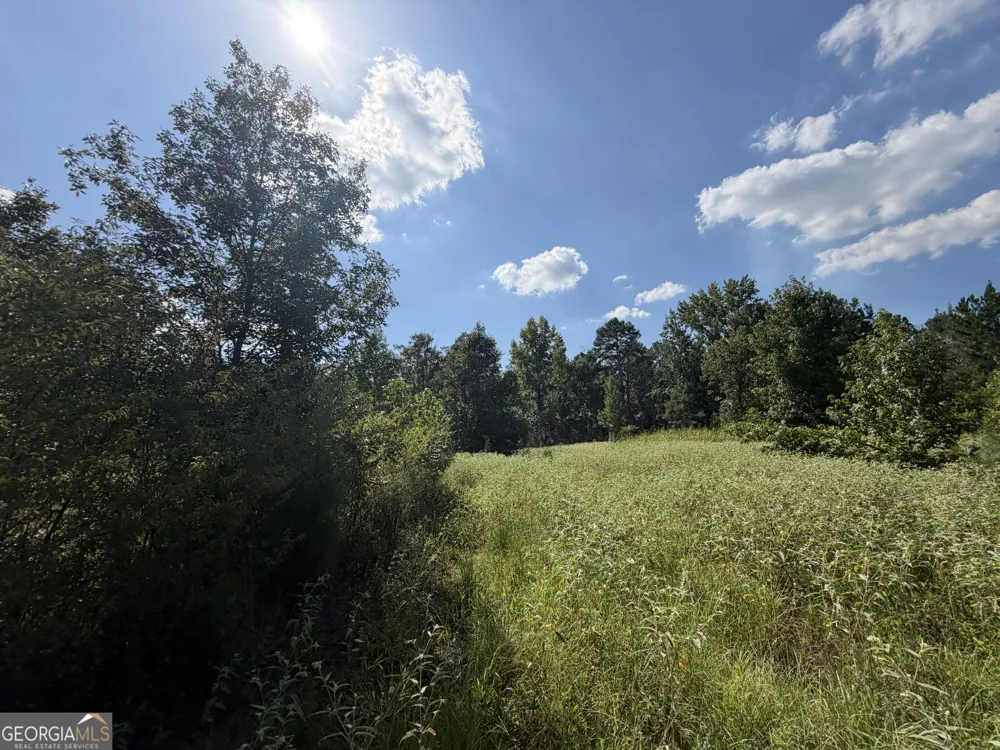 7 Sunhill Grange RD Davisboro, GA 31018