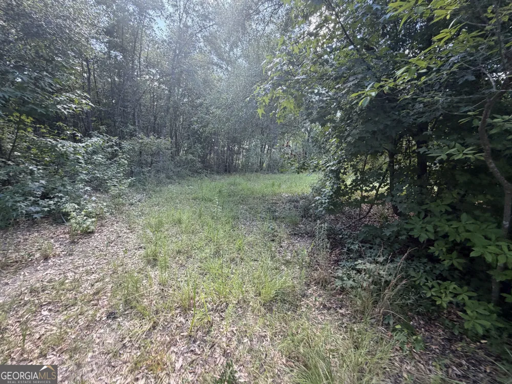 7 Sunhill Grange RD Davisboro, GA 31018