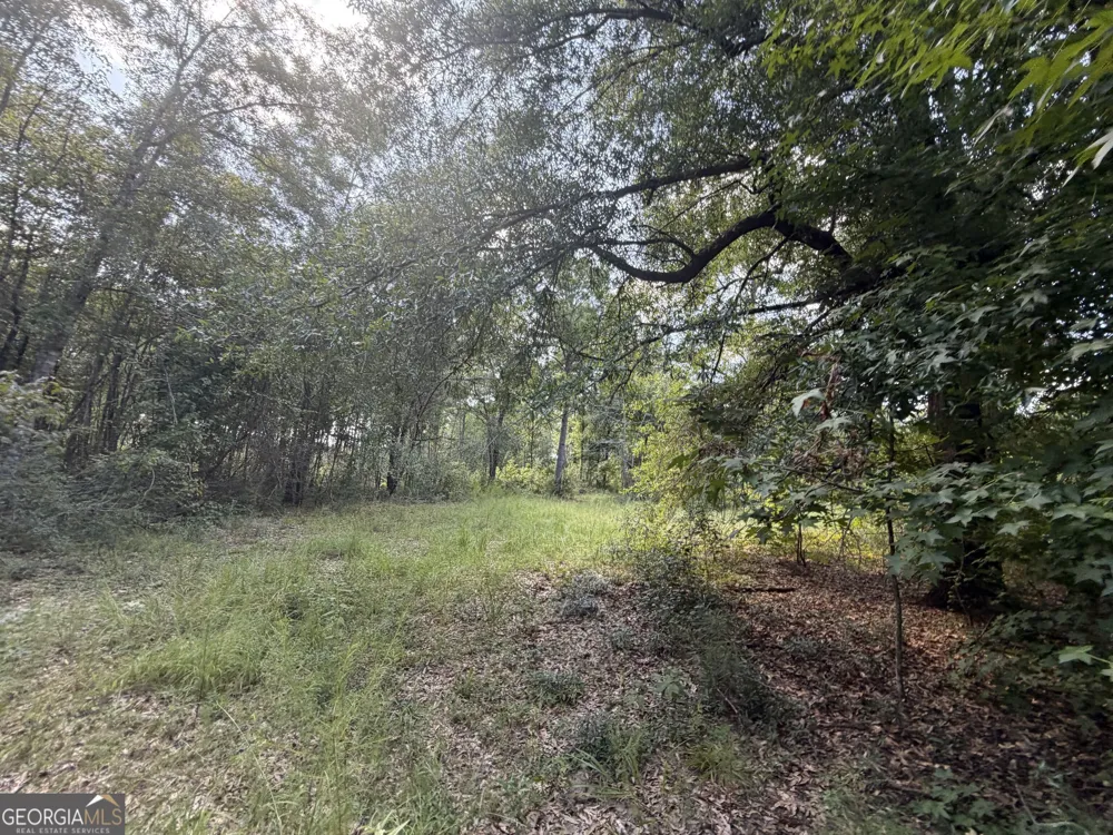 7 Sunhill Grange RD Davisboro, GA 31018