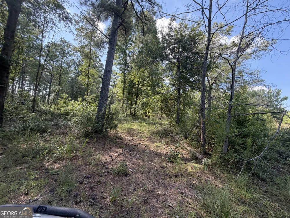 7 Sunhill Grange RD Davisboro, GA 31018