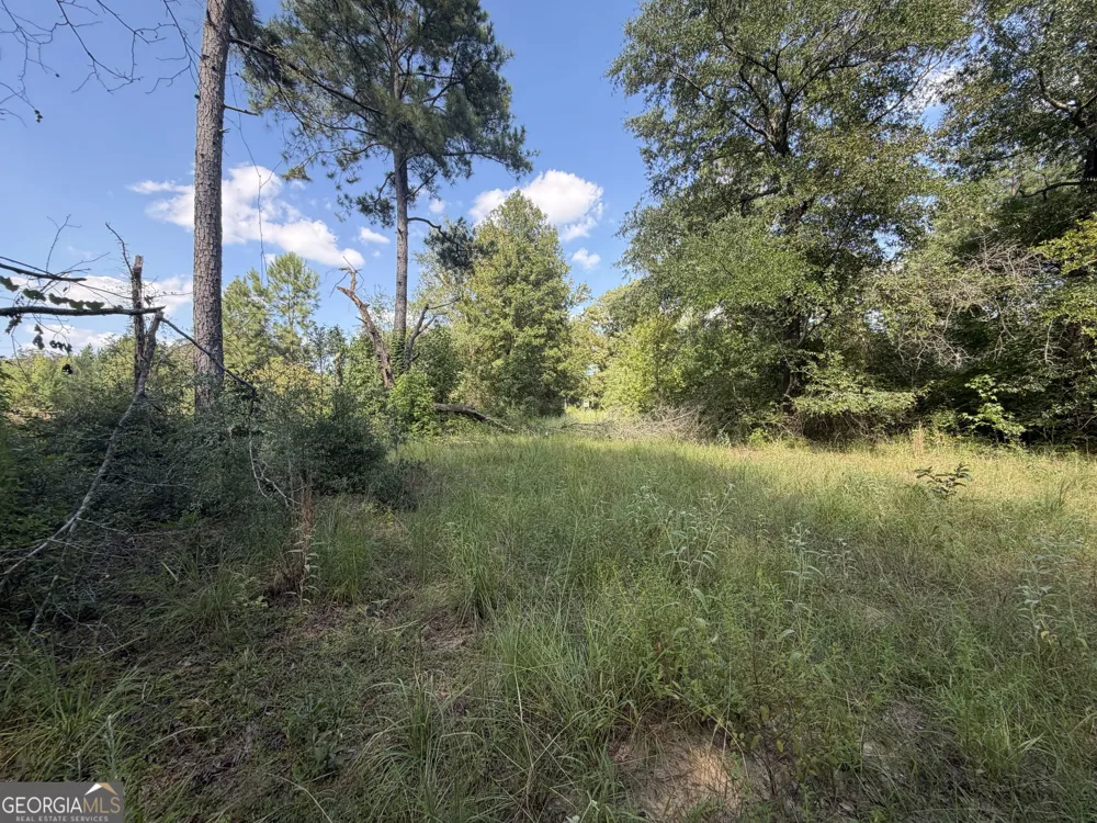 7 Sunhill Grange RD Davisboro, GA 31018