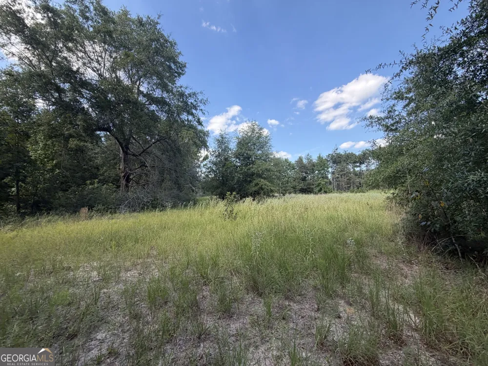 7 Sunhill Grange RD Davisboro, GA 31018