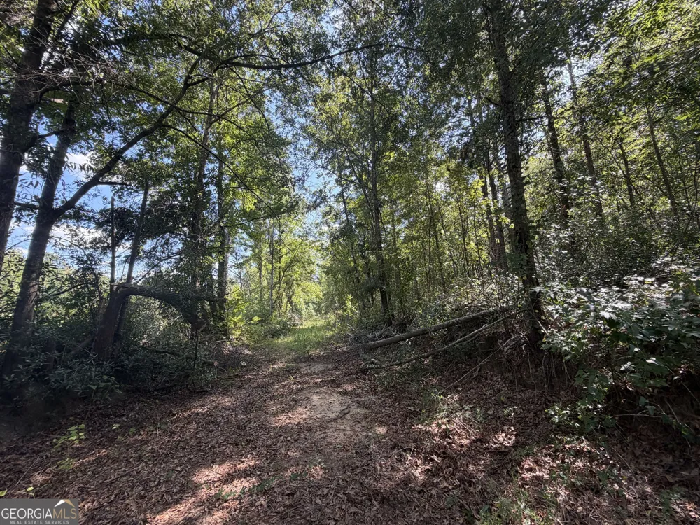 7 Sunhill Grange RD Davisboro, GA 31018