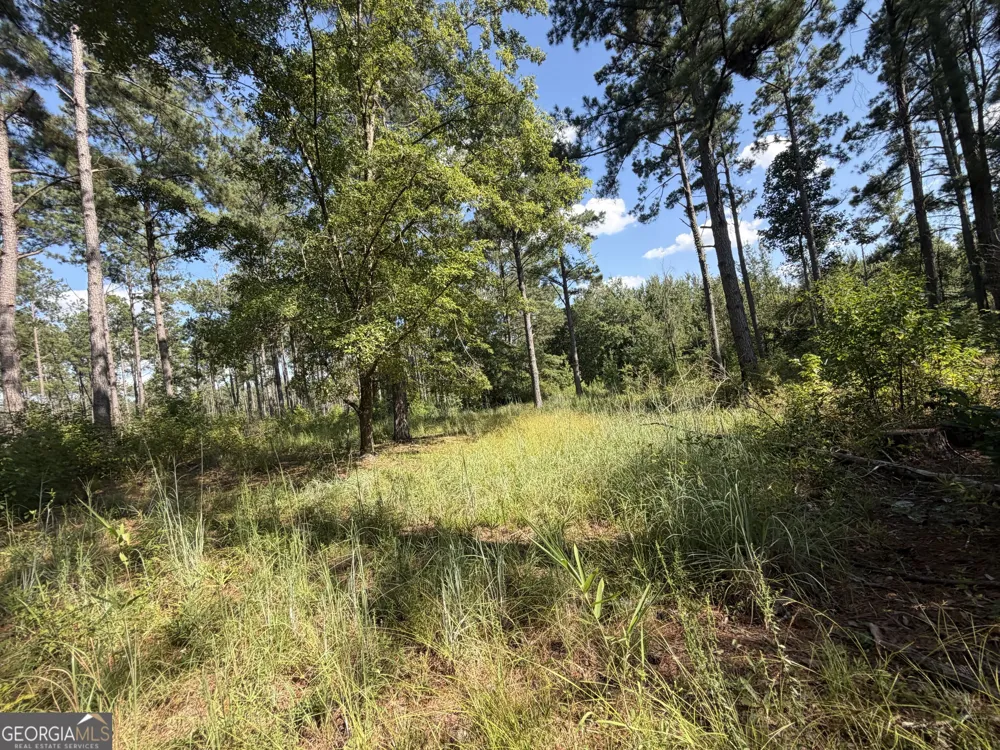 7 Sunhill Grange RD Davisboro, GA 31018