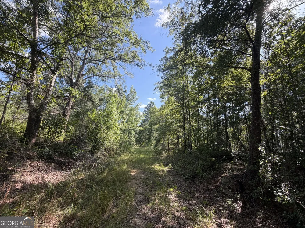 7 Sunhill Grange RD Davisboro, GA 31018