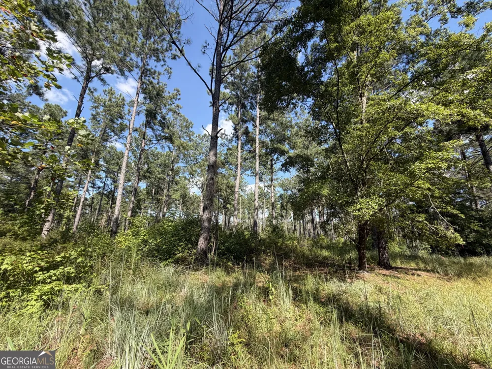 7 Sunhill Grange RD Davisboro, GA 31018