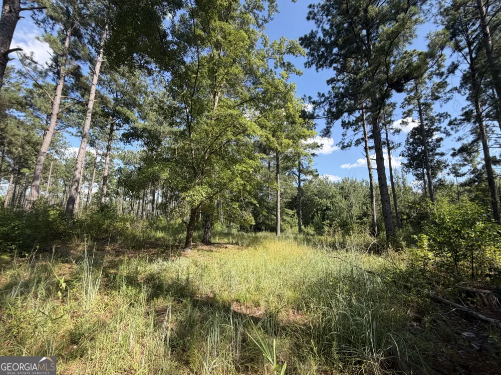 7 Sunhill Grange RD Davisboro, GA 31018