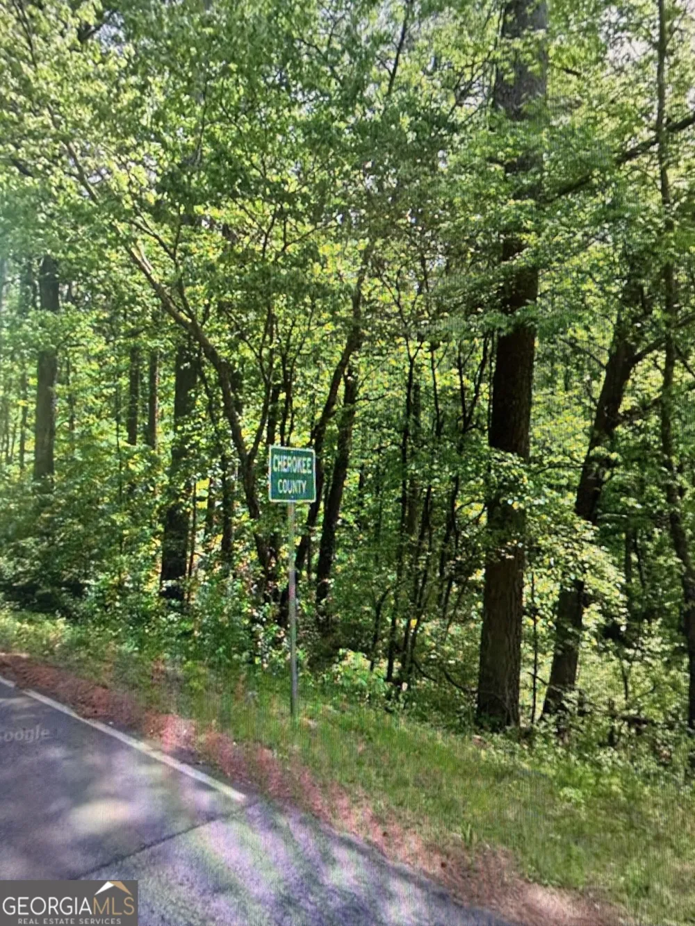 0 Fairview RD Ball Ground, GA 30107
