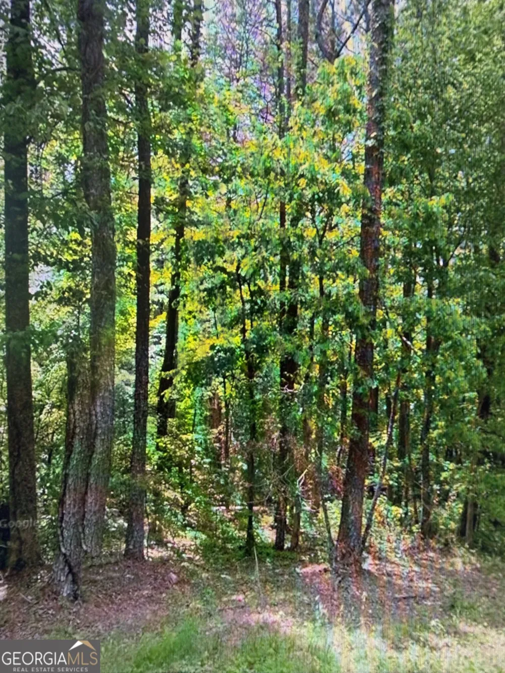 0 Fairview RD Ball Ground, GA 30107
