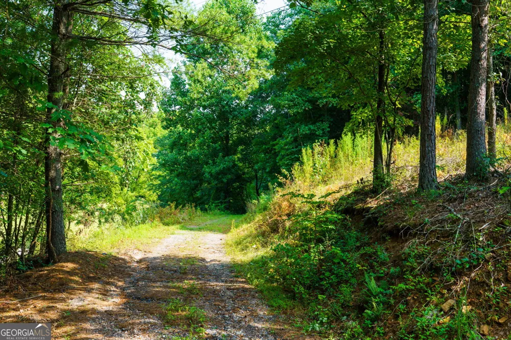 45 Green Cove RD Other-North Carolina, NC 28902