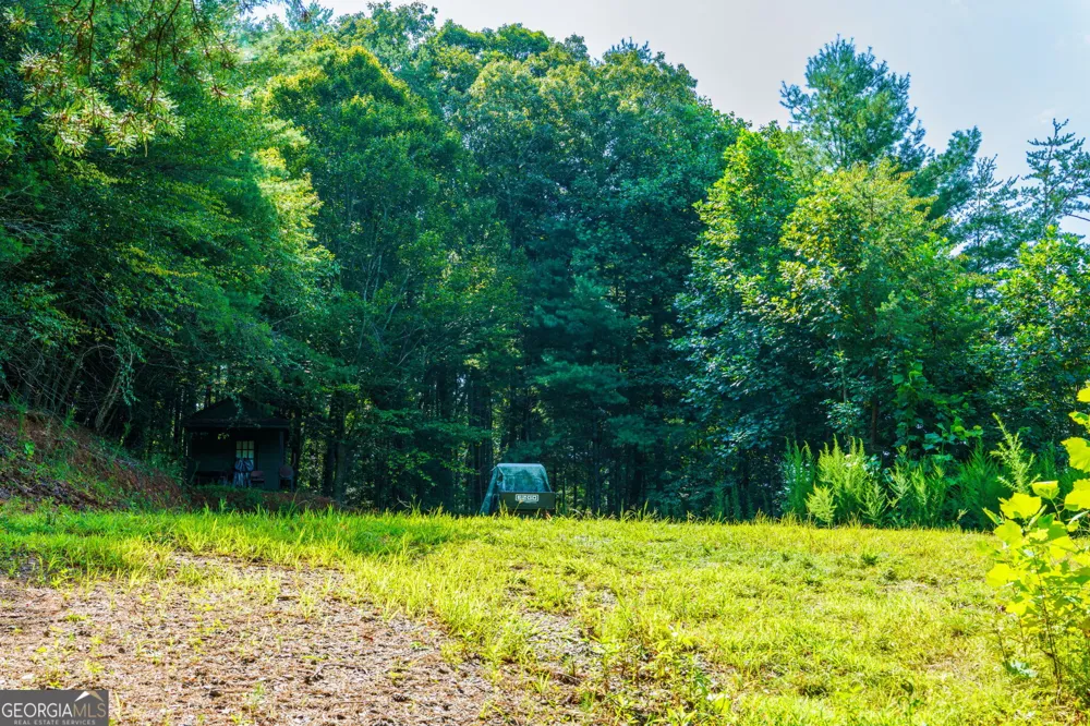 45 Green Cove RD Other-North Carolina, NC 28902