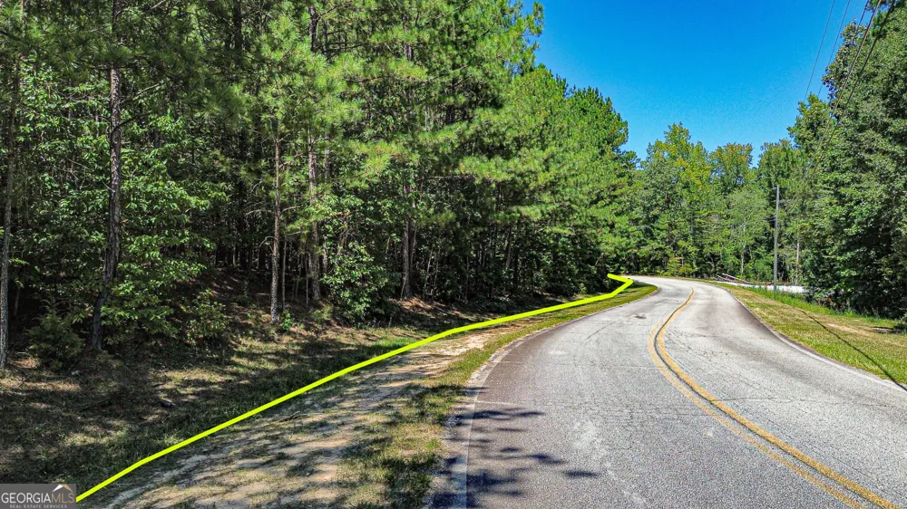 288 Pope TRL Covington, GA 30014