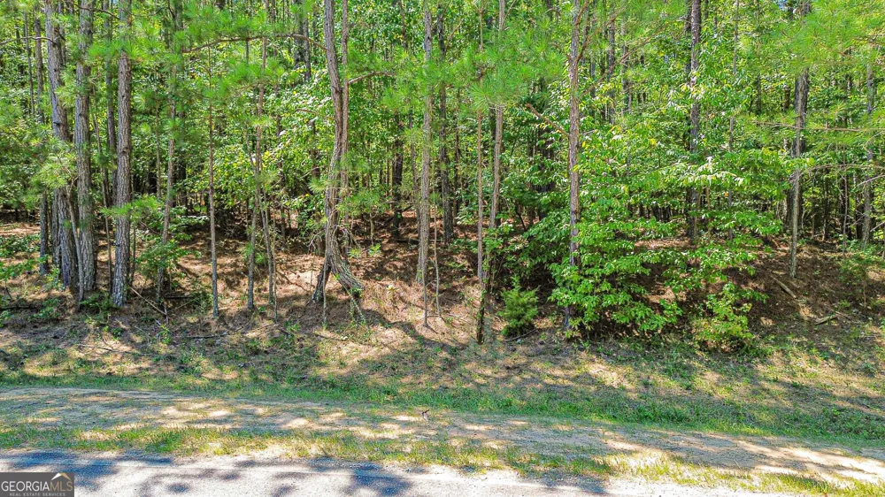 288 Pope TRL Covington, GA 30014