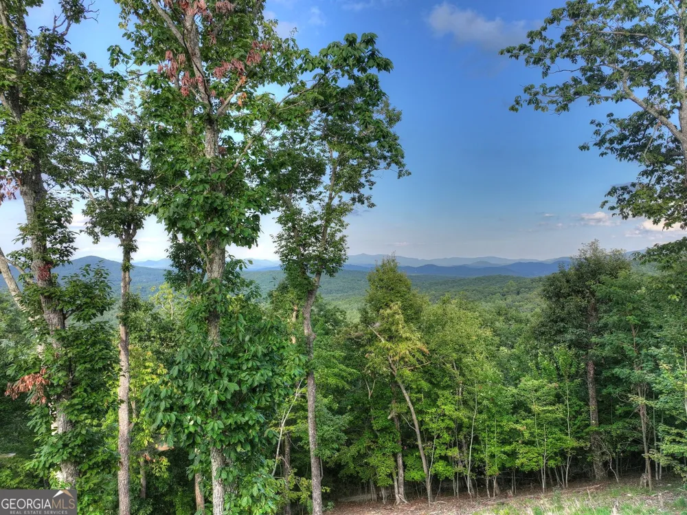 224 Eagle RDG Morganton, GA 30560