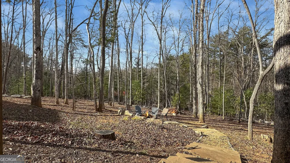 360 Prince DR Morganton, GA 30560