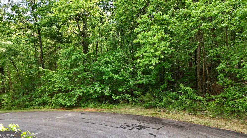 0 Terry CT Clarkesville, GA 30523