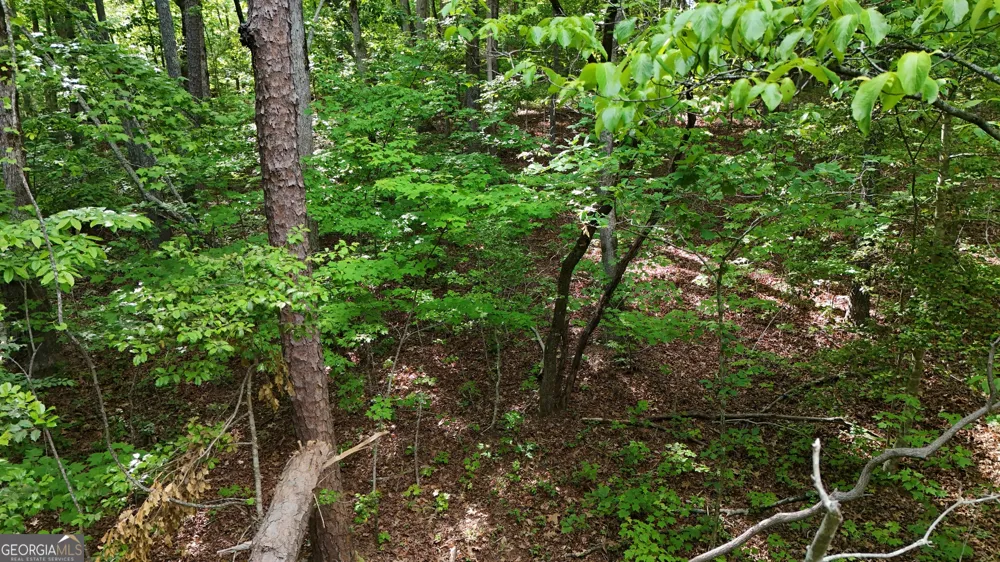 0 Terry CT Clarkesville, GA 30523