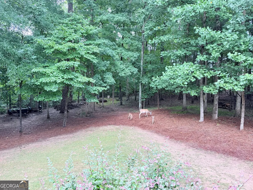 3616 Lively Oak DR Jefferson, GA 30549