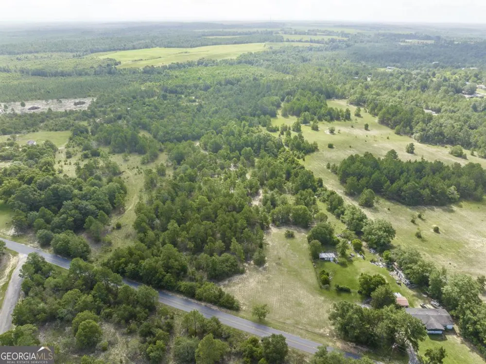 0 Georgia RD Butler, GA 31006