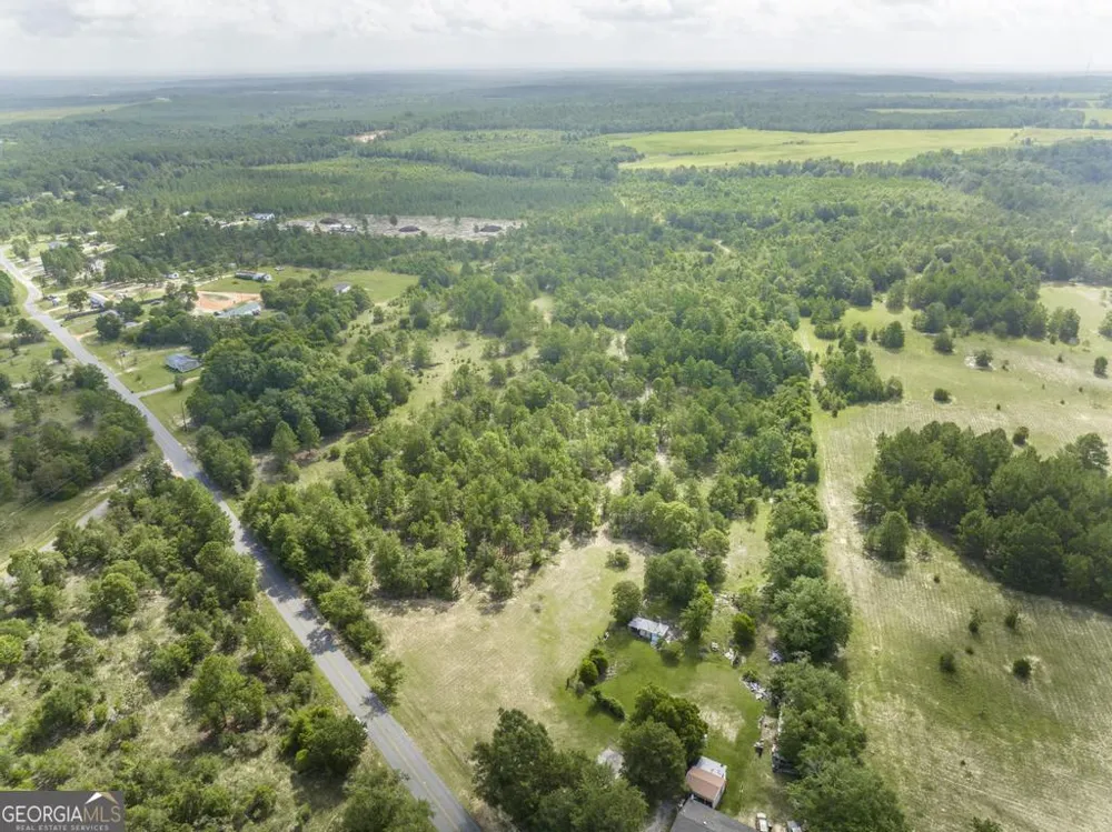 0 Georgia RD Butler, GA 31006