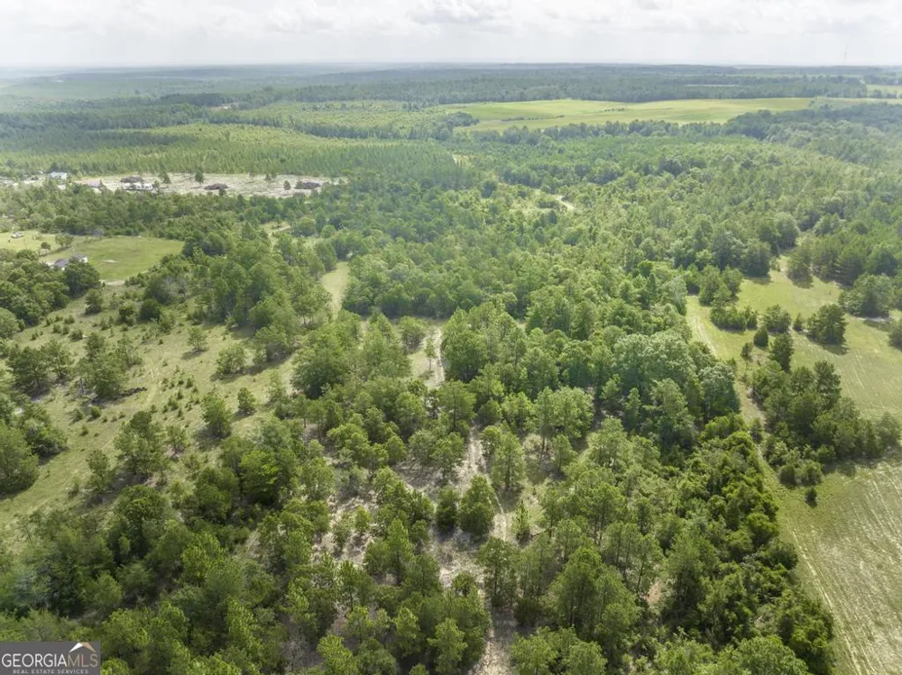 0 Georgia RD Butler, GA 31006