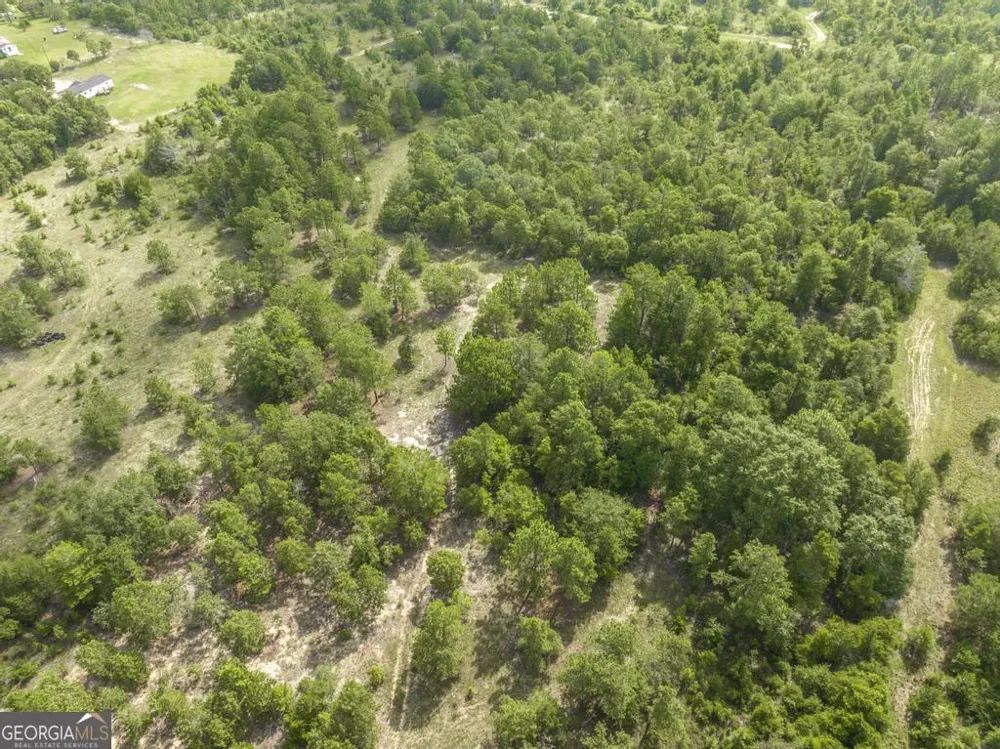 0 Georgia RD Butler, GA 31006