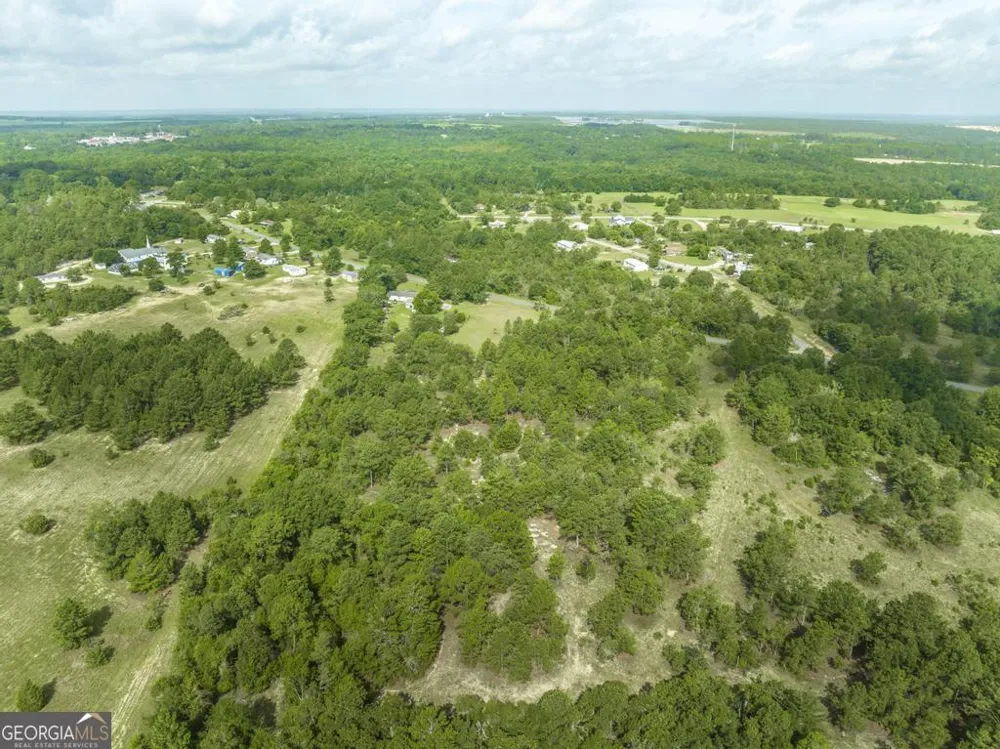 0 Georgia RD Butler, GA 31006