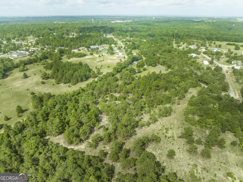 0 Georgia RD Butler, GA 31006