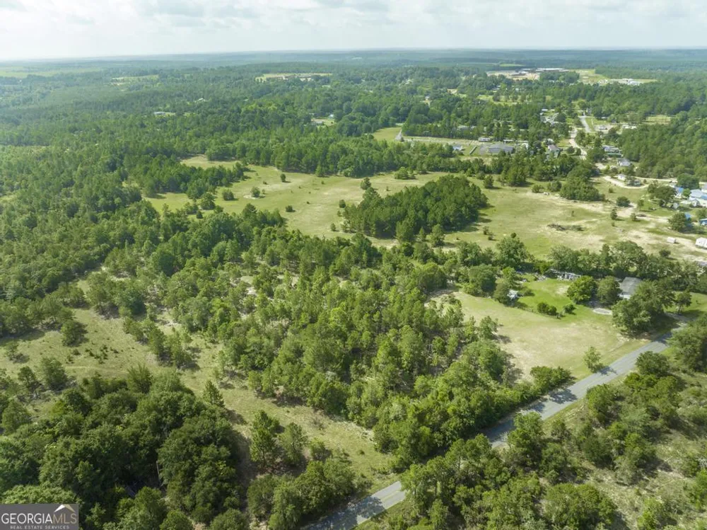 0 Georgia RD Butler, GA 31006