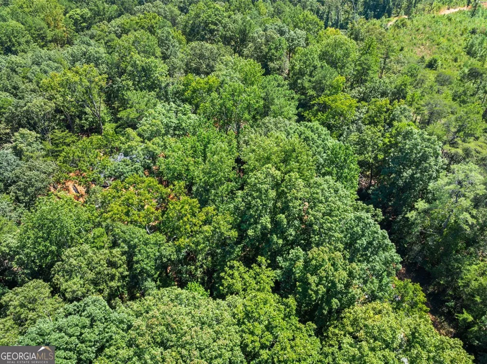 0 Holly Springs Road Toccoa, GA 30577
