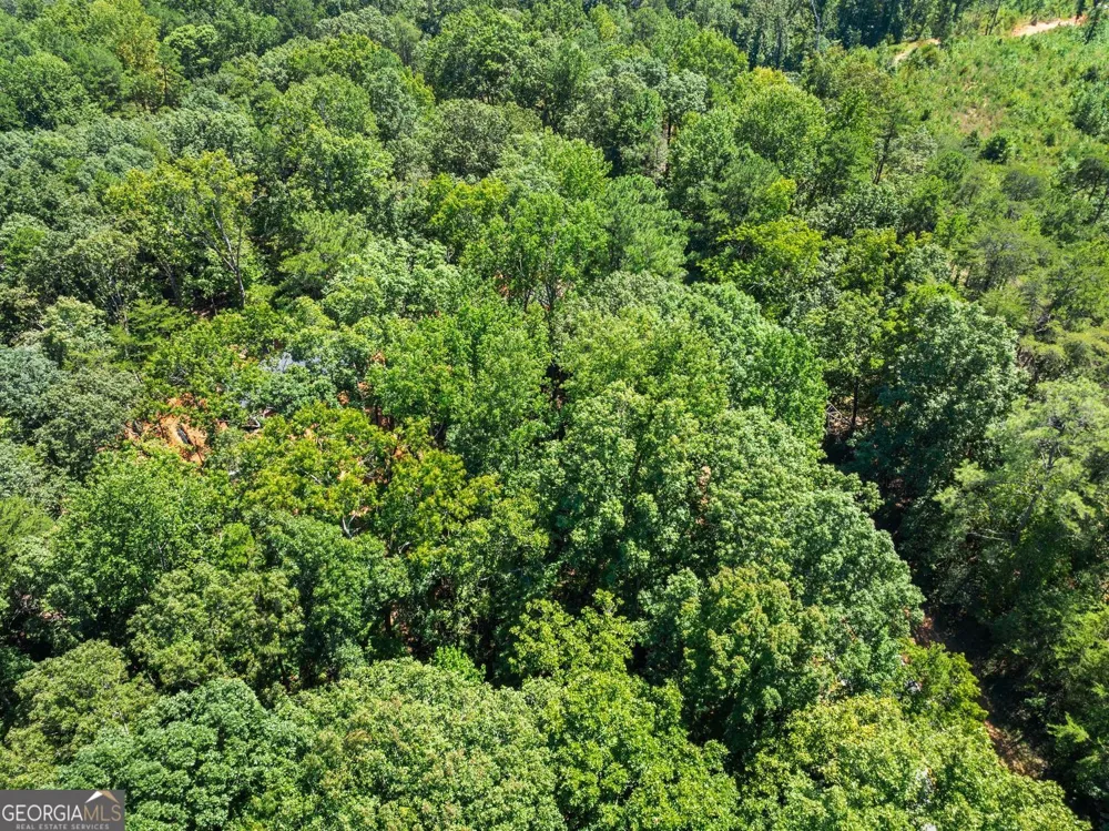 0 Holly Springs Road Toccoa, GA 30577