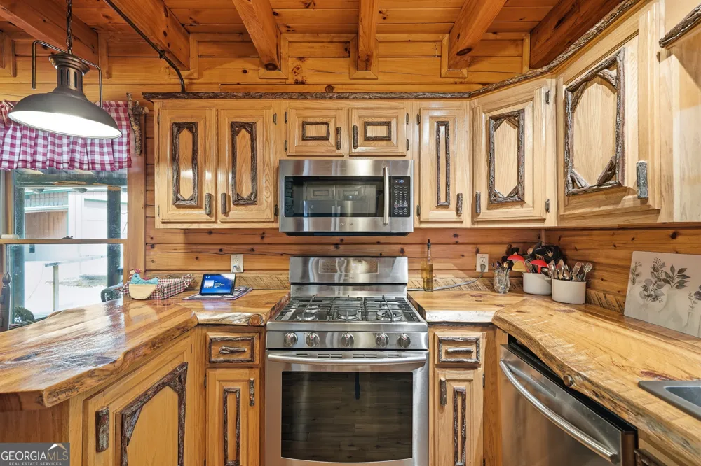 24 Indian Lake RD Mineral Bluff, GA 30559