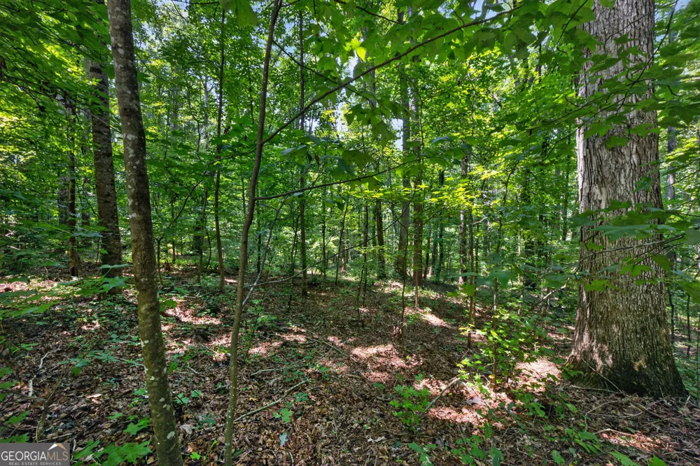 1322 Center DR Auburn, GA 30011