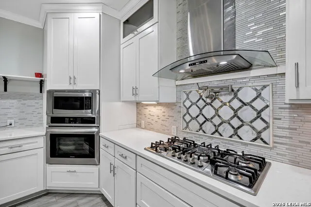 23007 DREAM VIEW DR Elmendorf, TX 78112