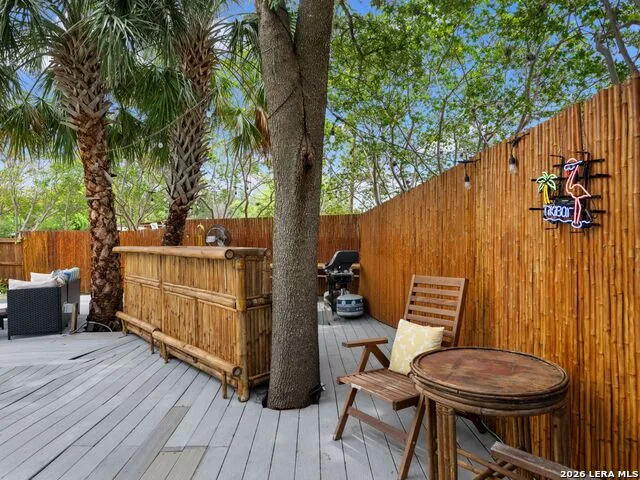 542 BRIGHTWOOD PL San Antonio, TX 78209