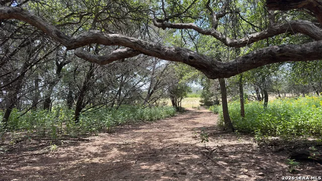 4065 Cypress Creek Road Comfort, TX 78013
