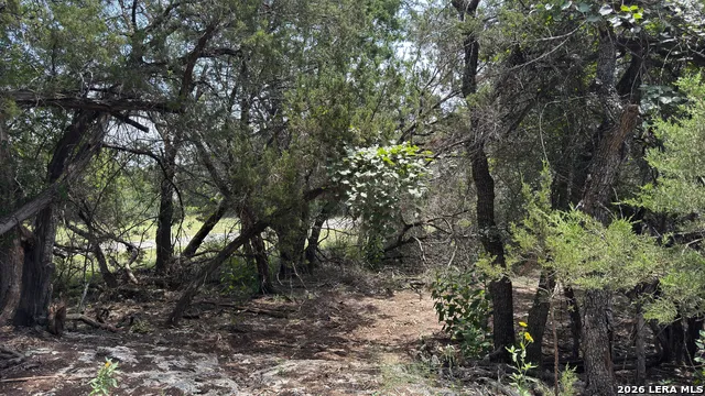 4065 Cypress Creek Road Comfort, TX 78013
