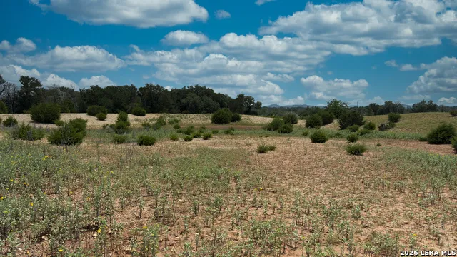 4065 Cypress Creek Road Comfort, TX 78013