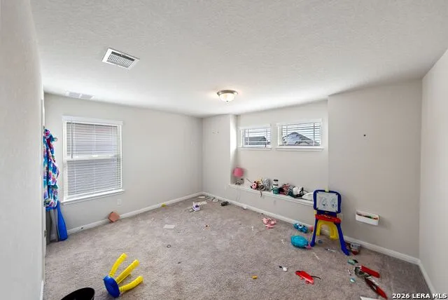 4820 night herder St Hedwig, TX 78152