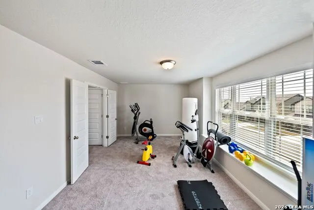 4820 night herder St Hedwig, TX 78152