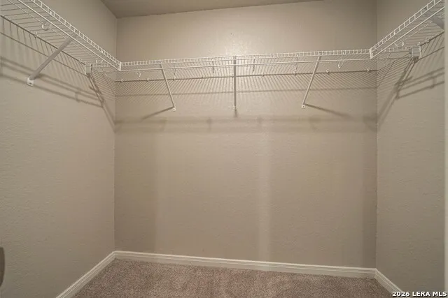 3119 BEGONIA BND San Antonio, TX 78222