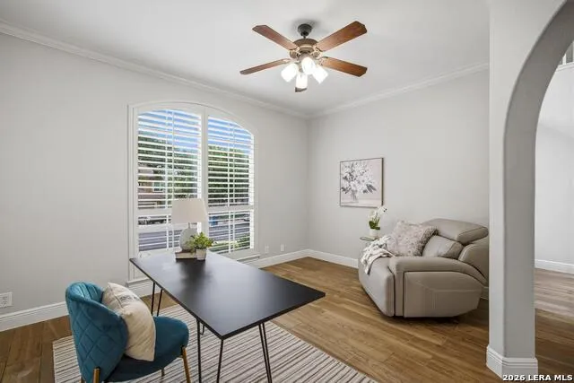 2911 Spider Lily San Antonio, TX 78258