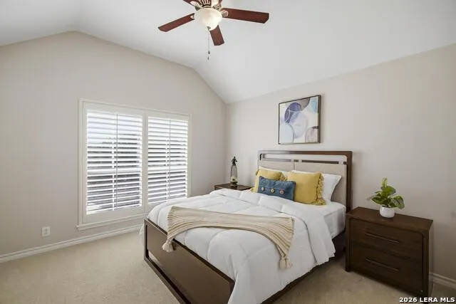 2911 Spider Lily San Antonio, TX 78258