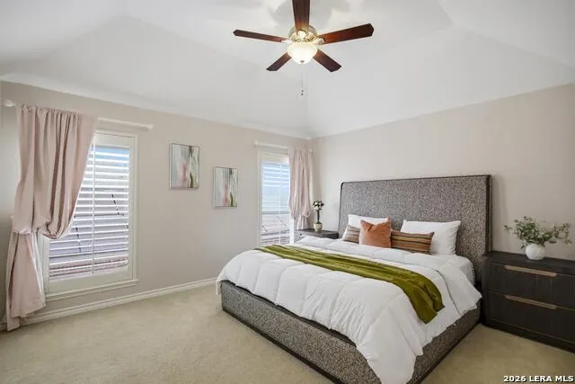 2911 Spider Lily San Antonio, TX 78258