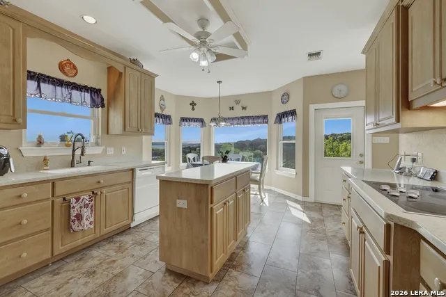 163 RIEDEL LN Canyon Lake, TX 78133