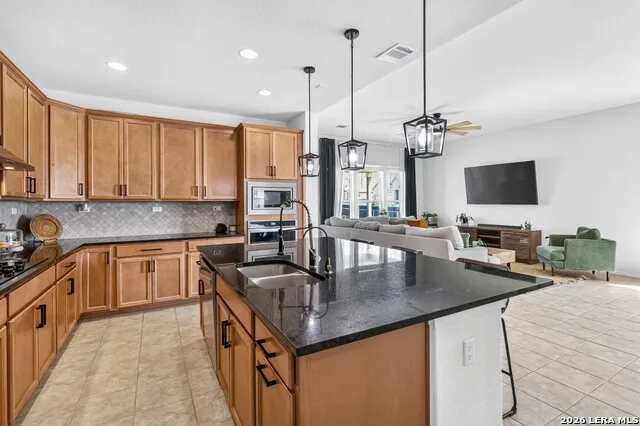 3233 Mountain Mint New Braunfels, TX 78130