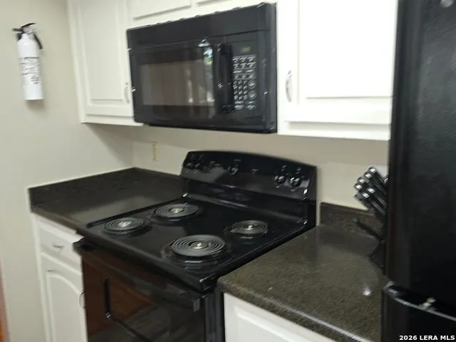 11843 Braesview #1802 #1802 San Antonio, TX 78213