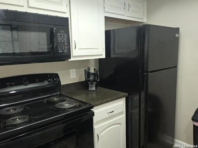 11843 Braesview #1802 #1802 San Antonio, TX 78213